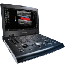 GE HealthCare Versana Active Vet